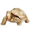 Statuette Turtle - Pierre - Doré