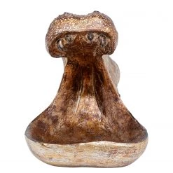Kare Design Statuette Hungry Hippo - Marron - Pierre 18 Kare Design Statuette Hungry Hippo - Marron - Pierre -Pas Cher Décoration Magasin 1000277581 210707 09520700370 DETAILS P000000001000277581