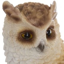 My Flair Objet décoratif Chouette Winny - Polyrésine - Marron -Pas Cher Décoration Magasin 1000294720 210930 135359000101 DETAILS P000000001000294720