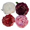 My Flair Fleurs artificielles Rose III (lot de 4) - Polyester PVC - Multicolore