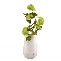 Butlers Vase MARBELLO - Dolomite - Blanc -Pas Cher Décoration Magasin 1000337823 220225 030 DETAILS P000000001000337823