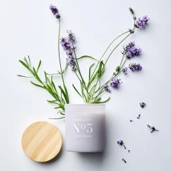 Butlers Bougie parfumée Velvet HOME & SOULS - Pin certifié FSC® / Cire de soja / Paraffine / Verre - Violet 10 Butlers Bougie parfumée Velvet HOME & SOULS - Pin certifié FSC® / Cire de soja / Paraffine / Verre - Violet -Pas Cher Décoration Magasin 1000338590 220310 022 MOOD DETAILS P000000001000338590 mood