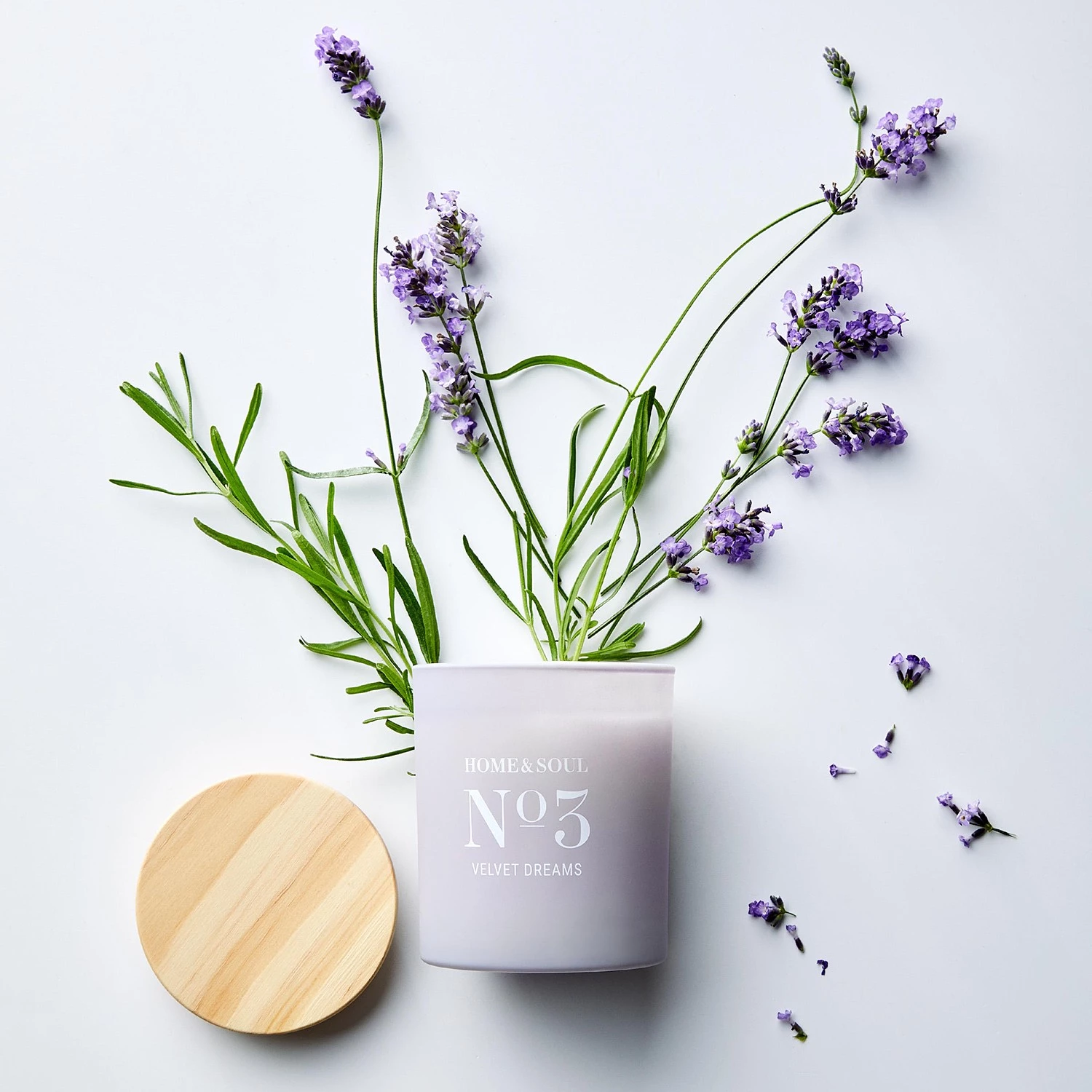 Butlers Bougie parfumée Velvet HOME & SOULS - Pin certifié FSC® / Cire de soja / Paraffine / Verre - Violet 4 Butlers Bougie parfumée Velvet HOME & SOULS - Pin certifié FSC® / Cire de soja / Paraffine / Verre - Violet – Image 4