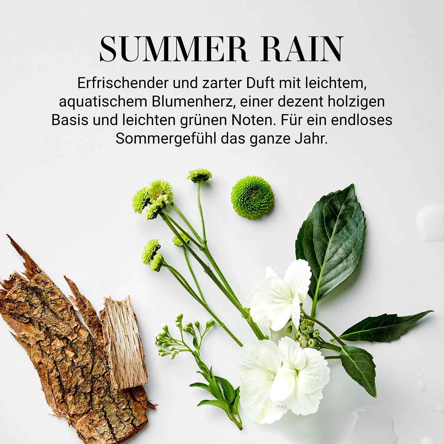 Butlers Huile parfumée SUMMER RAIN - Verre / Matière plastique / Parfum d’intérieur - Marron 4 Butlers Huile parfumée SUMMER RAIN - Verre / Matière plastique / Parfum d’intérieur - Marron – Image 4
