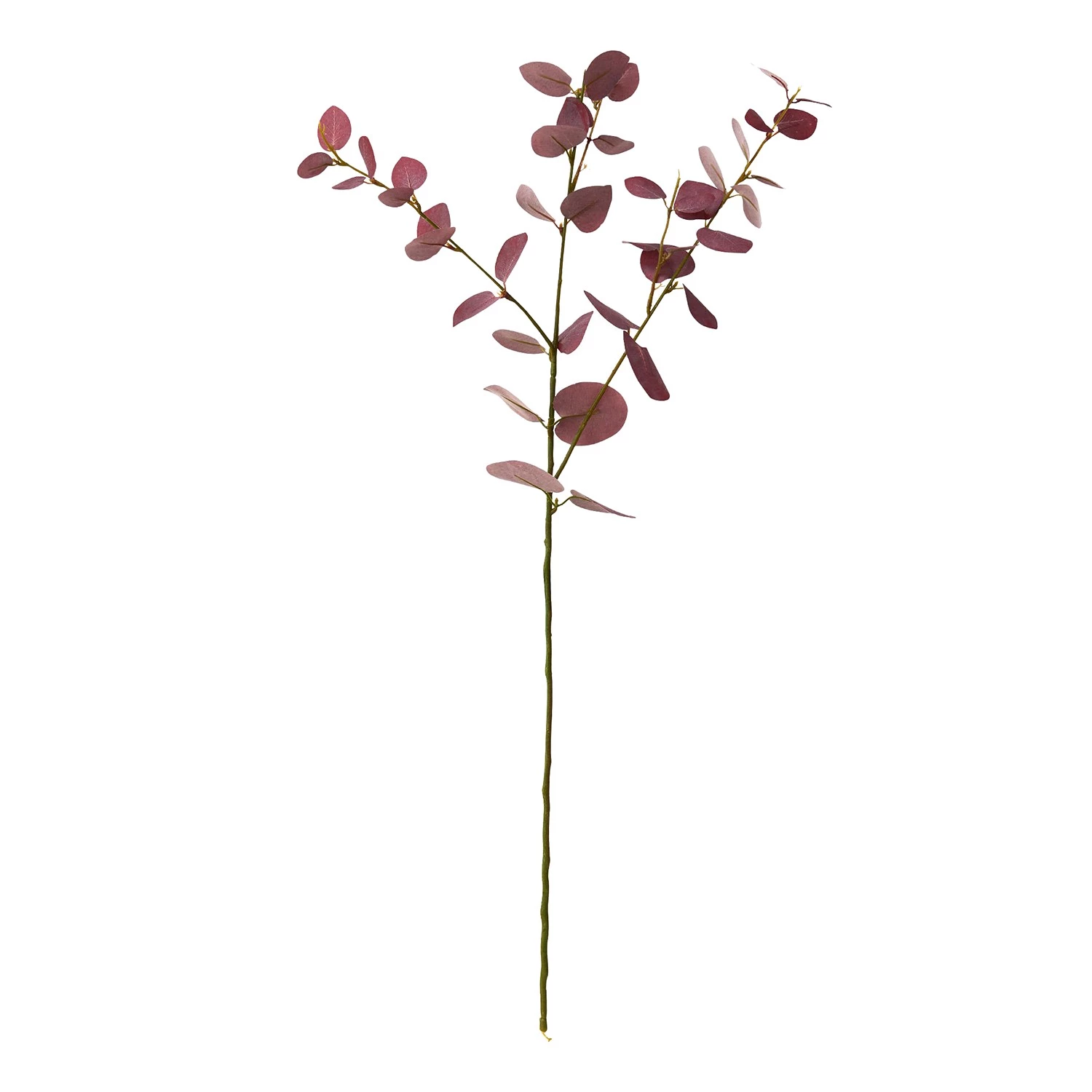 Butlers Branches d’eucalyptus FLORISTA (4 élém.) - PVC / Fil de fer / Polyéthylène / Mousse - Rouge 1 Butlers Branches d’eucalyptus FLORISTA (4 élém.) - PVC / Fil de fer / Polyéthylène / Mousse - Rouge