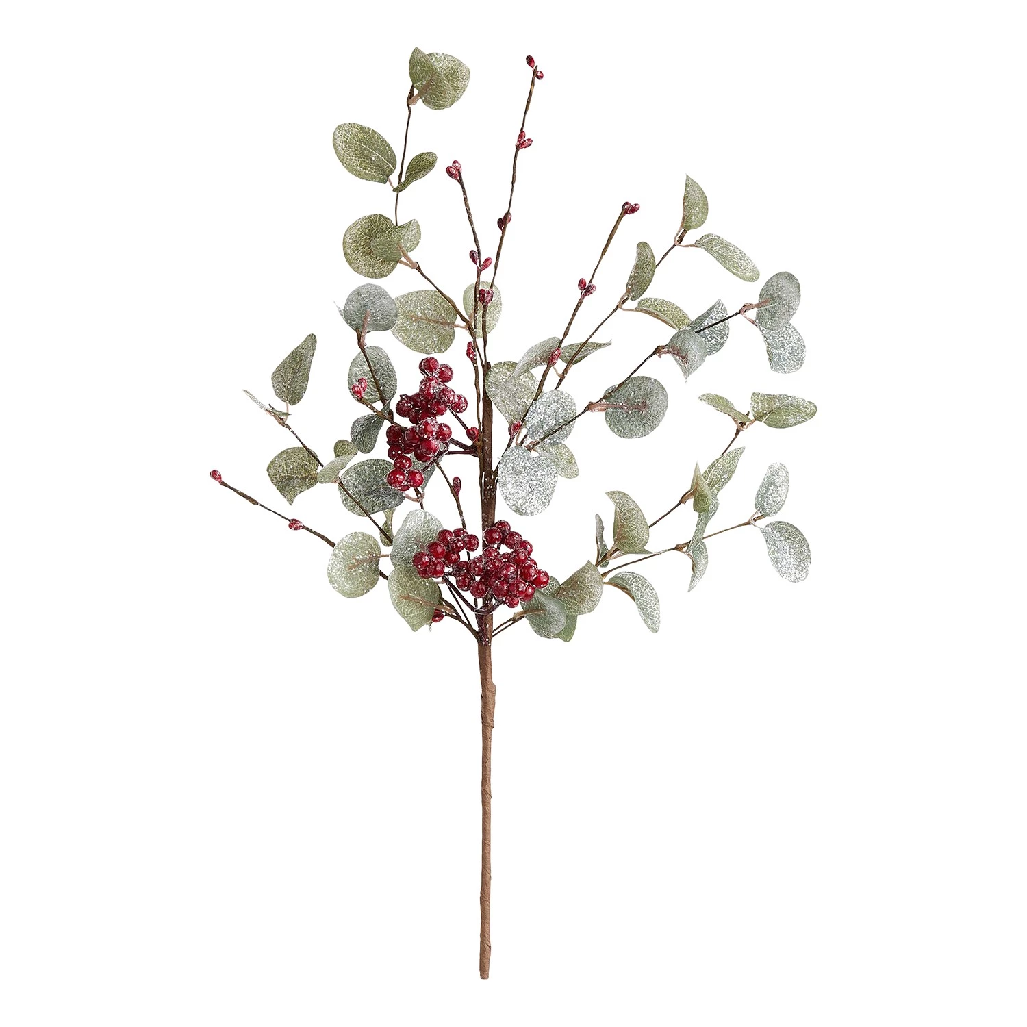 Butlers Branche d’eucalyptus avec baies FLORISTA - Fer / Polyester PVC - Marron / Rouge 1 Butlers Branche d’eucalyptus avec baies FLORISTA - Fer / Polyester PVC - Marron / Rouge