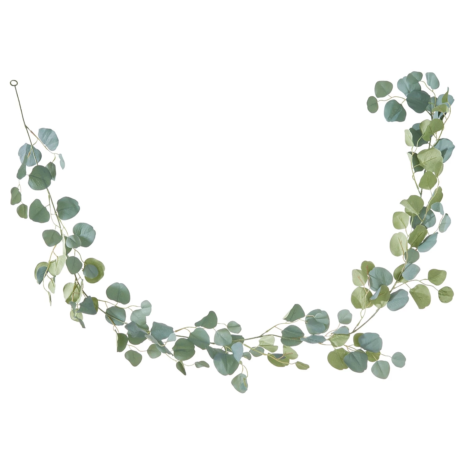 Butlers Guirlande eucalyptus FLORISTA - Fer / Polyester PVC - Vert clair 1 Butlers Guirlande eucalyptus FLORISTA - Fer / Polyester PVC - Vert clair