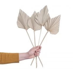 Butlers Feuilles de palme FLOWER MARKET (4 él.) - Feuille de plante - Naturel -Pas Cher Décoration Magasin 1000339880 220310 040 DETAILS P000000001000339880