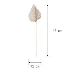 Butlers Feuilles de palme FLOWER MARKET (4 él.) - Feuille de plante - Naturel -Pas Cher Décoration Magasin 1000339880 220310 500 SKETCH DETAILS P000000001000339880 sketch