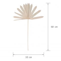 Butlers Feuilles de palme FLOWER MARKET (4 él.) - Feuille de plante - Naturel -Pas Cher Décoration Magasin 1000339884 220310 500 SKETCH DETAILS P000000001000339884 sketch