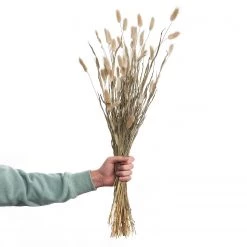 Butlers Lagure FLOWER MARKET (2 éléments) - Feuille de plante - Naturel -Pas Cher Décoration Magasin 1000339885 220310 040 DETAILS P000000001000339885