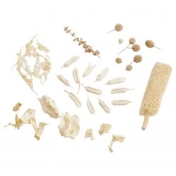 Butlers Composition florale FLOWER MARKET II - Feuille de plante - Blanc -Pas Cher Décoration Magasin 1000339897 220727 030 DETAILS P000000001000339897