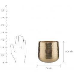 Butlers Cache-pot PLANTA II - Fer - Doré -Pas Cher Décoration Magasin 1000341466 220317 040 DETAILS P000000001000341466