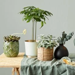 Butlers Cache-pot EMILIE - Fer - Menthe / Doré -Pas Cher Décoration Magasin 1000341468 220317 021 MOOD DETAILS P000000001000341468 mood