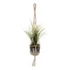 Red Living Suspension plante Ojika - Jute - Naturel