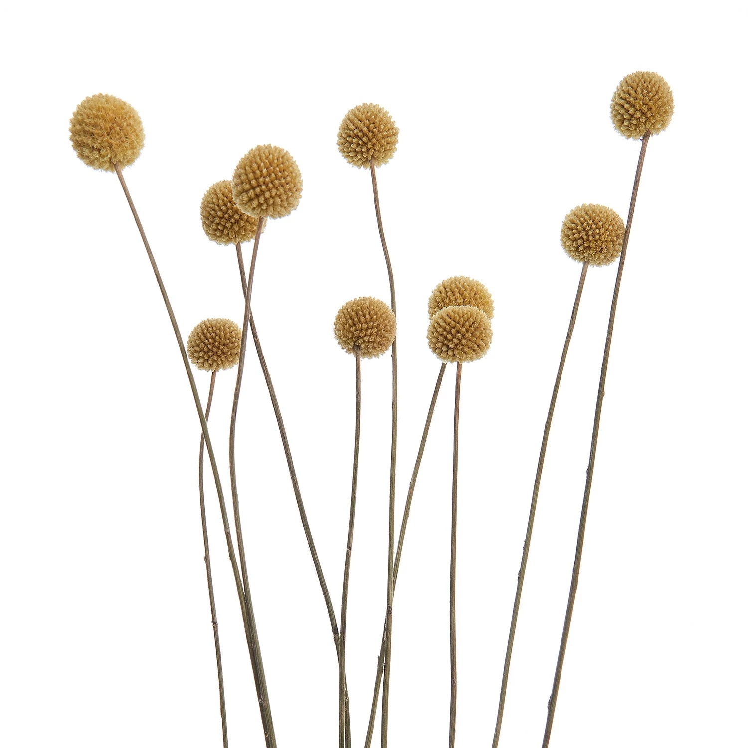 Butlers Fleurs séchées FLOWER MARKET Bouquet - Polyester - Vert 6 Butlers Fleurs séchées FLOWER MARKET Bouquet - Polyester - Vert – Image 6