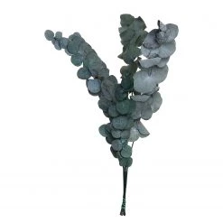 Butlers Fleurs séchées FLOWER MARKET Eucalyptus - Polyester - Vert
