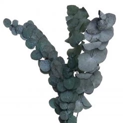 Butlers Fleurs séchées FLOWER MARKET Eucalyptus - Polyester - Vert -Pas Cher Décoration Magasin 1000364972 220802 040 DETAILS P000000001000364972