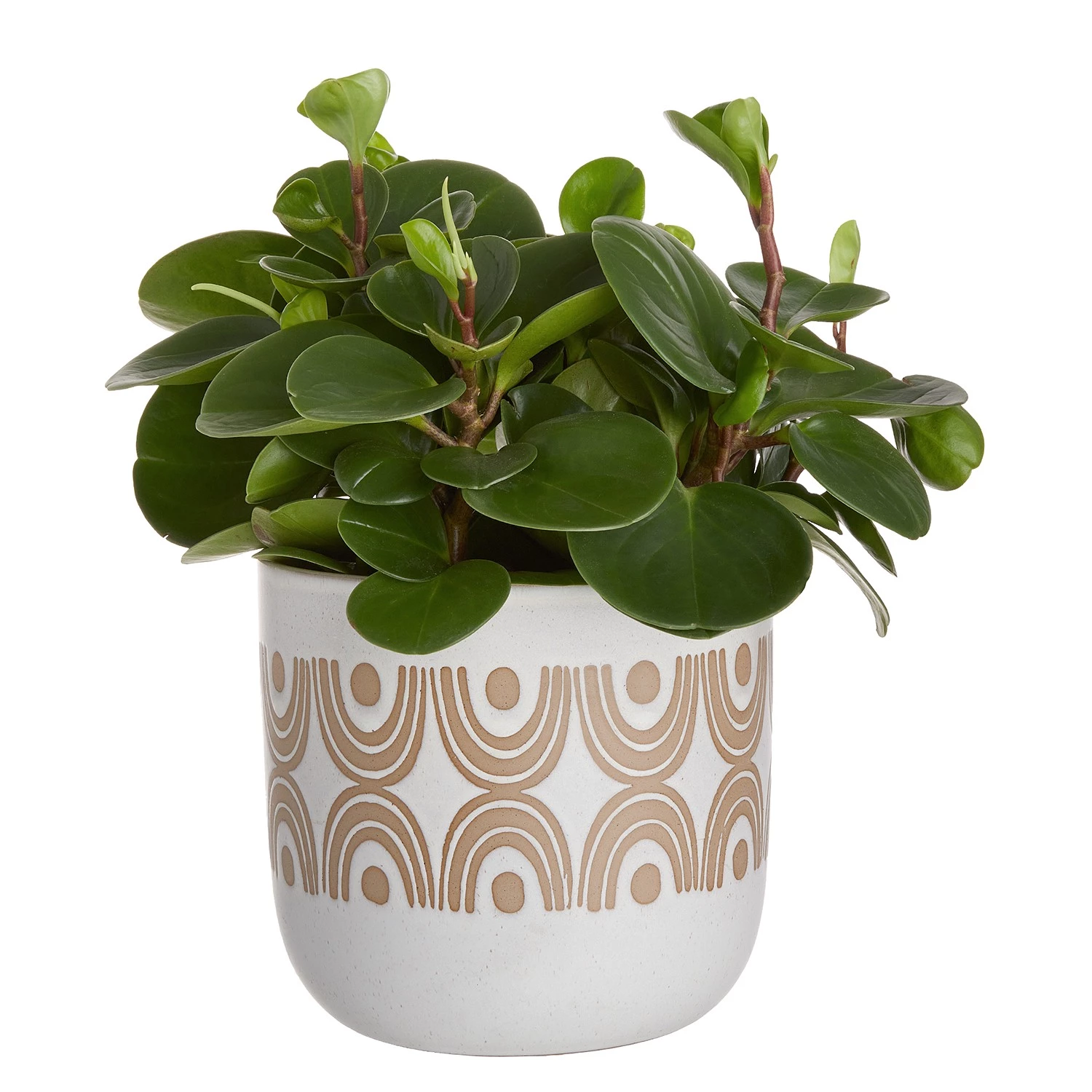 Butlers Pot de fleur OVER THE RAINBOW - Faïence - Crème 2 Butlers Pot de fleur OVER THE RAINBOW - Faïence - Crème – Image 2