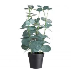 Butlers Plante artificielle FLORISTA Eucalyptus - Polyester - Naturel